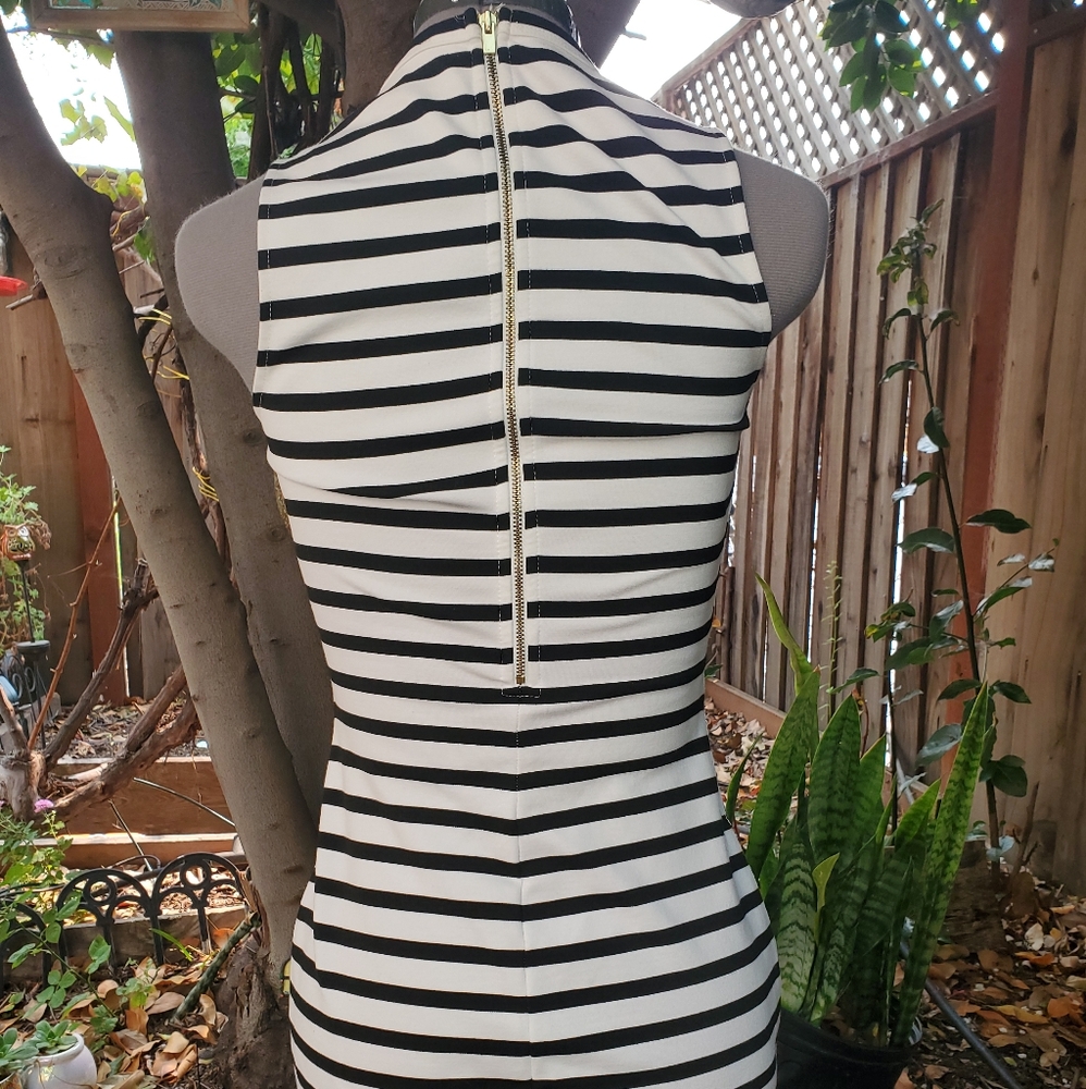 Express Dress Size 2 - Picture 2 of 6